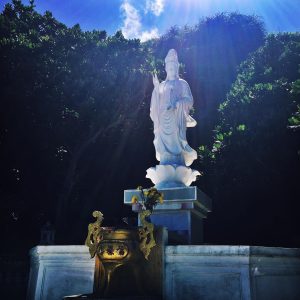 Tour Lý Sơn