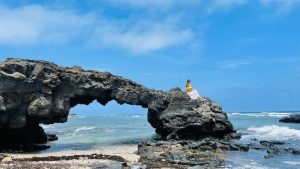 Tour Lý Sơn