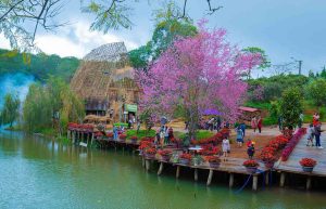 Tour Quảng Ngãi Măng Đen